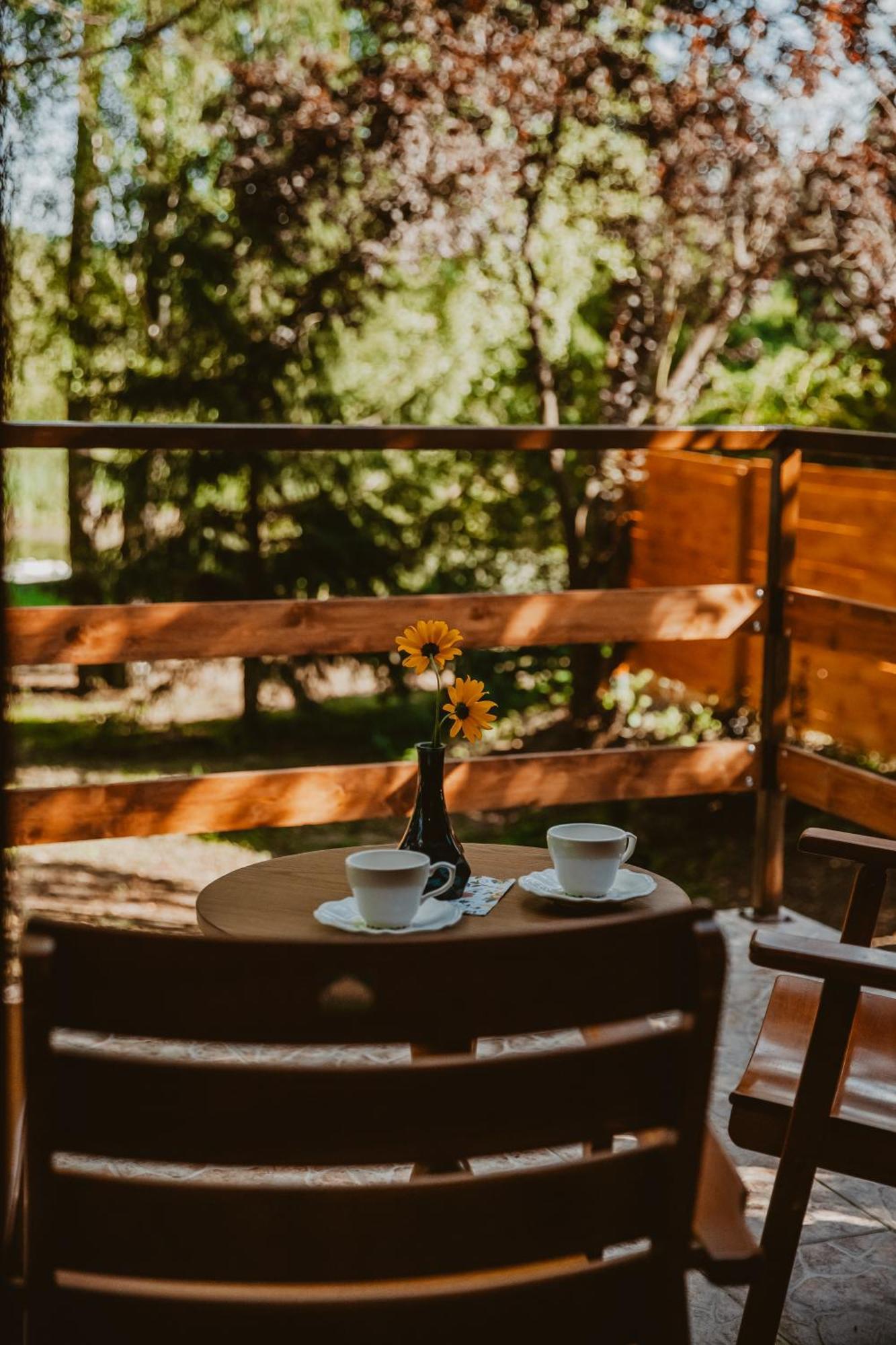 Mesa Summer House Zakrzewo  Dış mekan fotoğraf